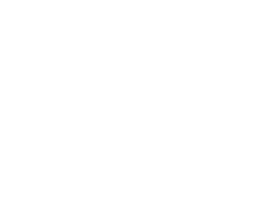 Boston Chimney Sweep